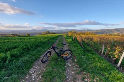 CIRCUIT "VERT" - Bonjour Fun