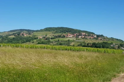 CIRCUIT "VERT" - Bonjour Fun