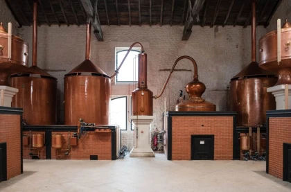 Citadelle Gin Distillery Tour in English - Bonjour Fun