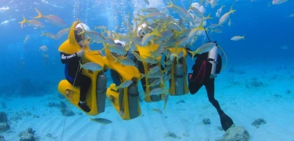 Coco Bongo Punta Cana: Espectáculo Inolvidable con Barra Libre y Transporte Incluido - Bonjour Fun
