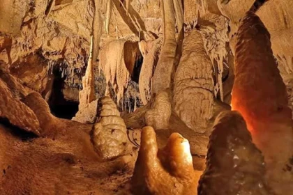 Combiné chasse au trésor grotte et forêt - Bonjour Fun