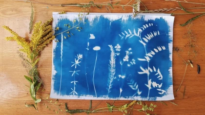 Créez votre œuvre déco unique - Atelier Initiation au Cyanotype - Bonjour Fun