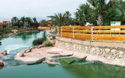 Crocoparc et jardin botanique - Bonjour Fun