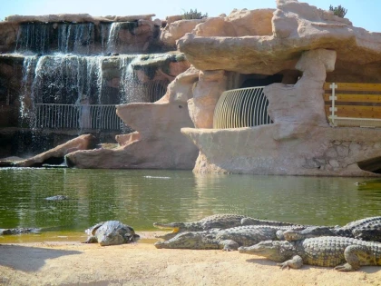 Crocoparc et jardin botanique - Bonjour Fun
