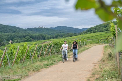 Croq'vélo saveur: location de vélo électrique et repas - Bonjour Fun
