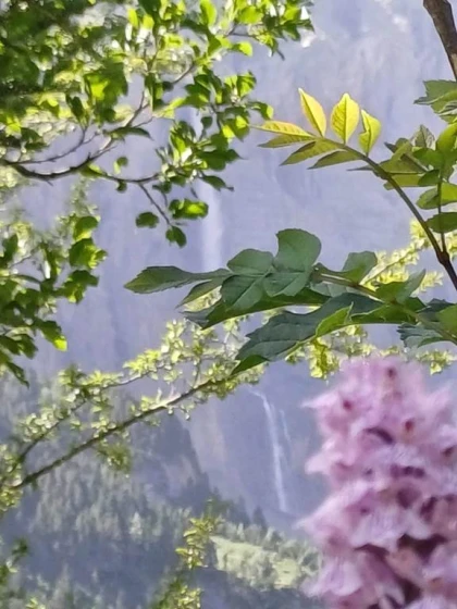 Découverte du Cirque de Gavarnie (demi-journée après-midi) - Bonjour Fun