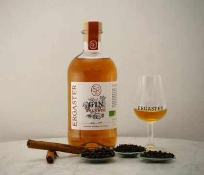 Découverte du Gin & du Rhum – Visite et Atelier Cocktails - Bonjour Fun