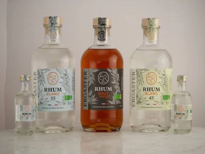 Découverte du Gin & du Rhum – Visite et Atelier Cocktails - Bonjour Fun