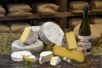 Découverte et dégustation à la fromagerie Beaudoin - Bonjour Fun
