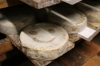Découverte et dégustation à la fromagerie Beaudoin - Bonjour Fun