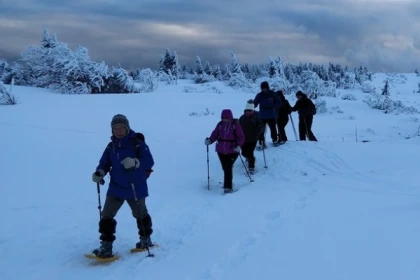Découverte massif des Vosges - Bonjour Fun