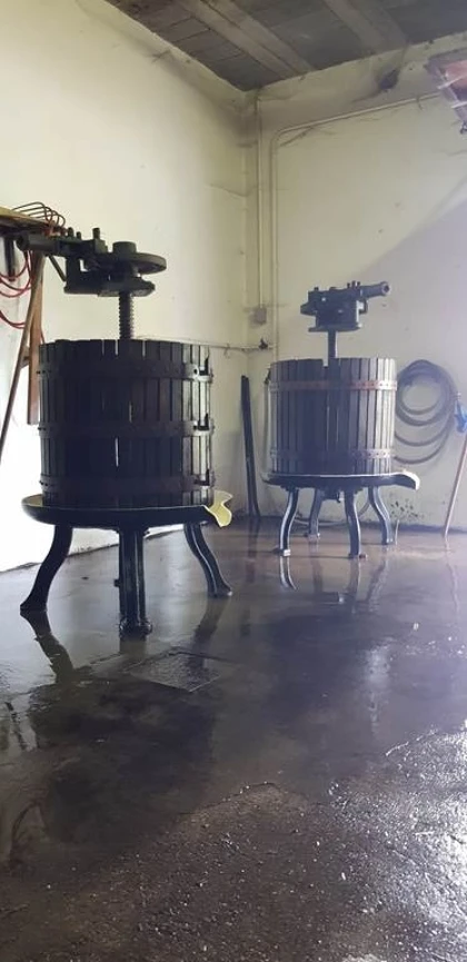 Découvrez les vins naturels et traditionnels - Bonjour Fun