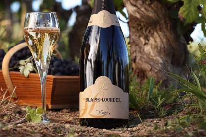 Dégustation au Champagne BLAISE LOURDEZ - Bonjour Fun