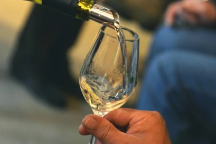 Dégustation Chablis au Domaine Clotilde Davenne en Anglais - Bonjour Fun