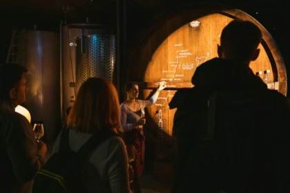 Dégustation de 5 vins et visite de cave Immersive - Bonjour Fun