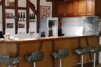 Dégustation de 6 vins d'Alsace BIO (6 personnes max.) - Bonjour Fun