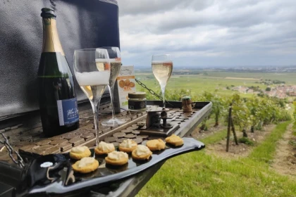 Dégustation de champagne, balade panoramique, vignoble - Bonjour Fun