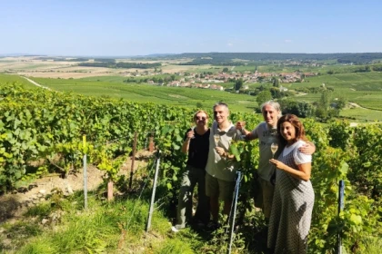 Dégustation de champagne, balade panoramique, vignoble - Bonjour Fun
