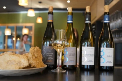 Dégustation des vins du Domaine - Bonjour Fun