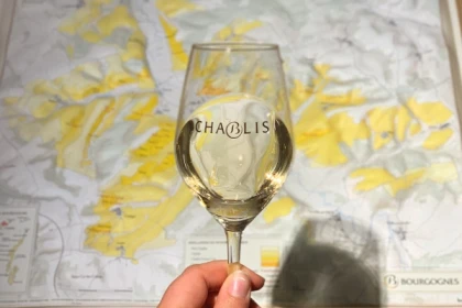 Dégustation des vins du Domaine - Bonjour Fun