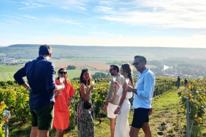 Dégustation Millésimé et balade panoramique, vignoble - Bonjour Fun