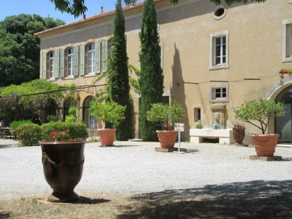 Dégustation & visite : Nos Blancs de Viognier - Bonjour Fun