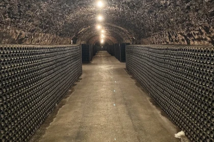 Demi-journée en Champagne au départ d'Epernay - Bonjour Fun