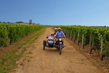 Départ de Saint-Emilion - balade privée dans les vignes - Bonjour Fun