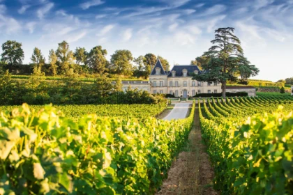 Depuis Bordeaux: tour privé à Saint Emilion - Bonjour Fun