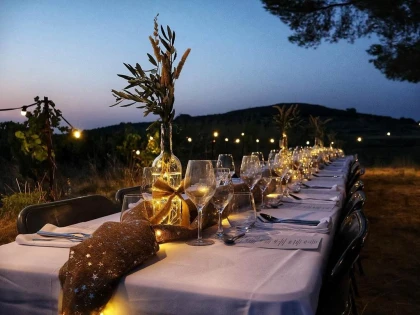 Dîner champêtre élégant au clair de lune - Bonjour Fun