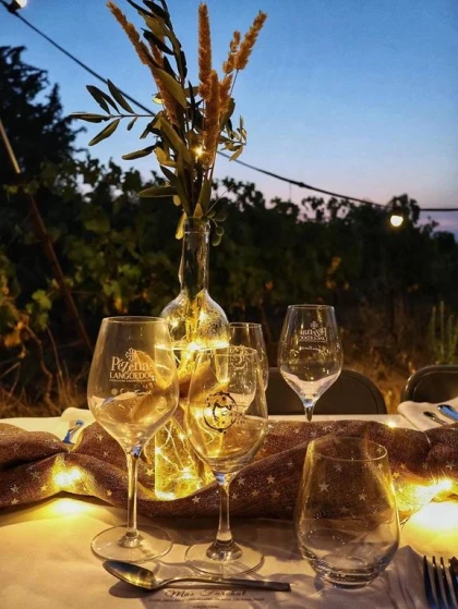 Dîner champêtre élégant au clair de lune - Bonjour Fun