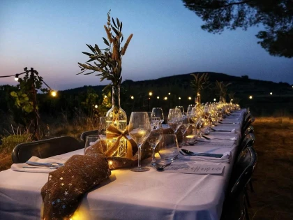 Dîner champêtre élégant et balade au clair de lune - Bonjour Fun
