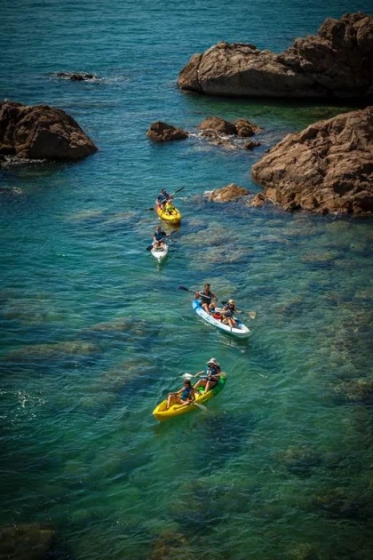 E-Paddle - Bonjour Fun
