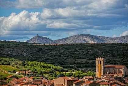 Entre Vignes et Olives du Roussillon - Bonjour Fun