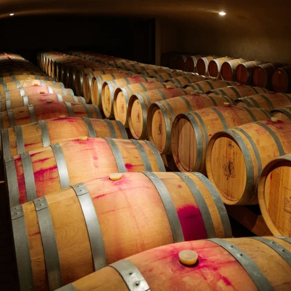 Entrez dans le quotidien d'un Vigneron Indépendant ! Visite guidée des vignes, des chais et dégustation - Bonjour Fun