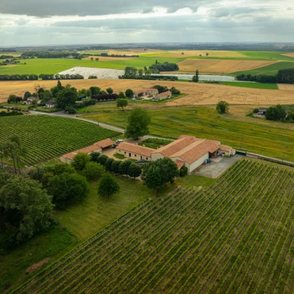 Entrez dans le quotidien d'un Vigneron Indépendant ! Visite guidée des vignes, des chais et dégustation - Bonjour Fun