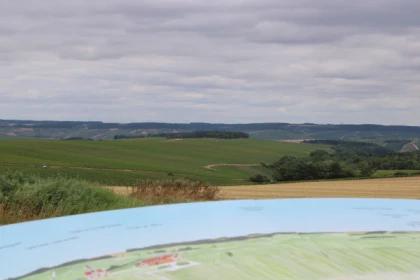 Escapade et dégustation dans le Vignoble du Chablisien - Bonjour Fun