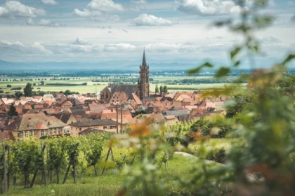 Excursion d'une demi-journée sur la Route des Vins - Bonjour Fun