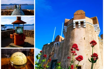 Excursion en mer - Golfe de Saint-Tropez - Bonjour Fun