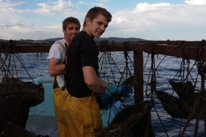 Excursion Sète - Journée Visite de Sète, Huîtres et Vin - Bonjour Fun