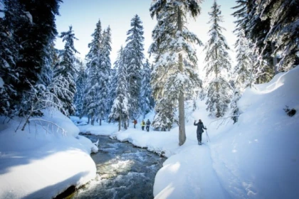 Fêter Nouvel An 4 jours à Orbey - Bonjour Fun