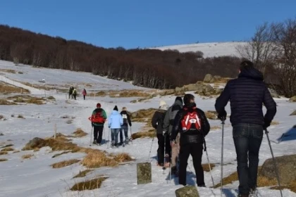 Fêter Nouvel An au cœur des Vosges - Bonjour Fun