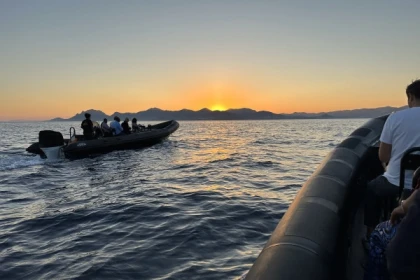 Feu d'artifice en mer à Cannes - Bonjour Fun