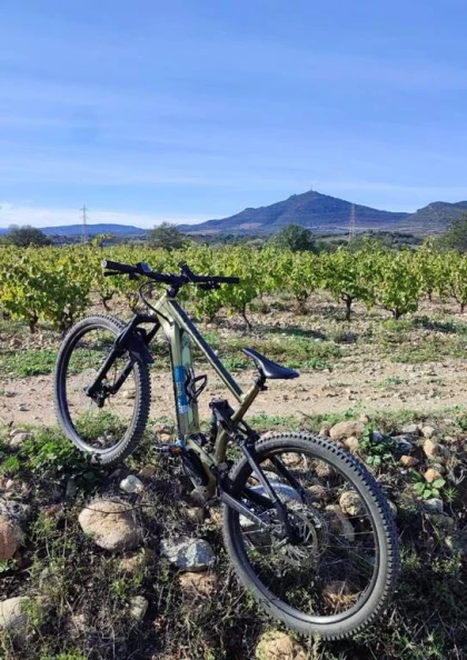 Força Réal découverte VTTAE - Bonjour Fun