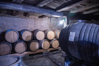 FORMULE "DANS LES PAS DU VIGNERON" - De la Vigne au Verre - Bonjour Fun