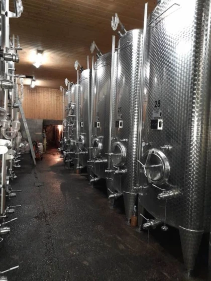 FORMULE "DANS LES PAS DU VIGNERON" - De la Vigne au Verre - Bonjour Fun