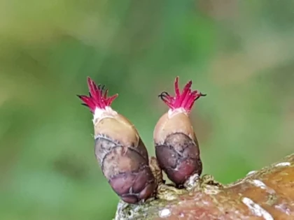 Groupes associatifs et autres groupes - Bonjour Fun