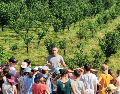 Groupes scolaires - Bonjour Fun