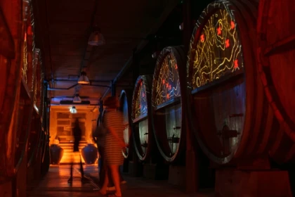 50 ANS DE BULLES – 7 TEMPS - PLUSIEURS VIGNERONNES - Bonjour Fun