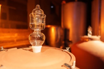 50 ANS DE BULLES – 7 TEMPS - PLUSIEURS VIGNERONNES - Bonjour Fun